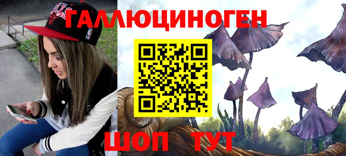 Псилоцибиновые грибы мицелий Тимашёвск